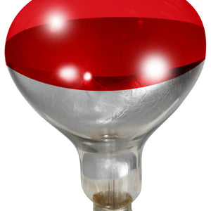 Bombillo rojo para lampara de criadora